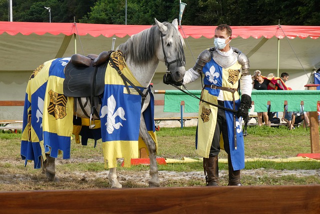 壇崛起的領 壇崛起的領